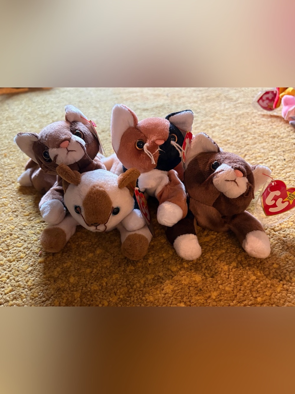 Ty Calico, Brown & White Cat Plush quad-Small Stuffed Cats